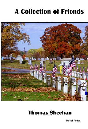 A Collection of Friends